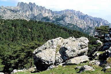 Bavella