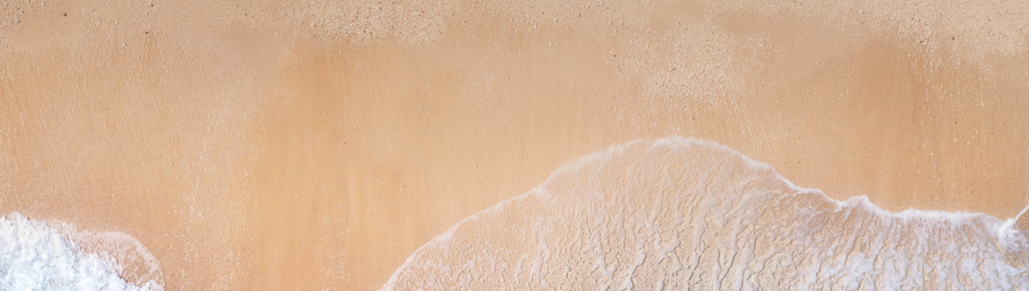 Corsica ferry and sardinia ferry - The shipping company Corsica